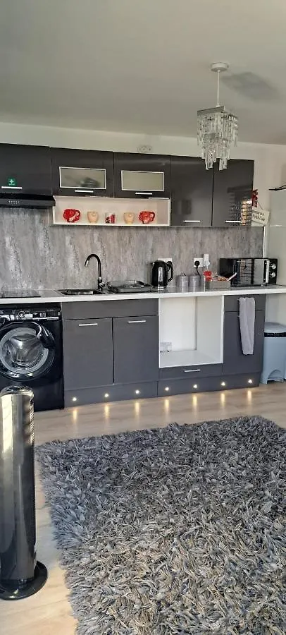 Apartament The Cwtch Cardiff